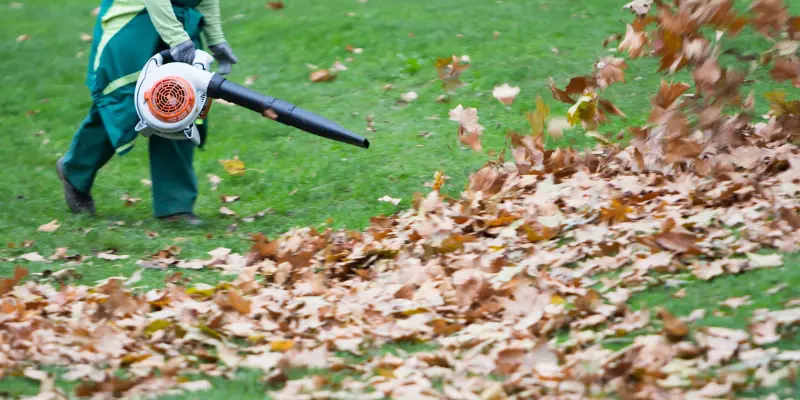 Norway Seasonal Work Visa: Requirements & Approved Industries